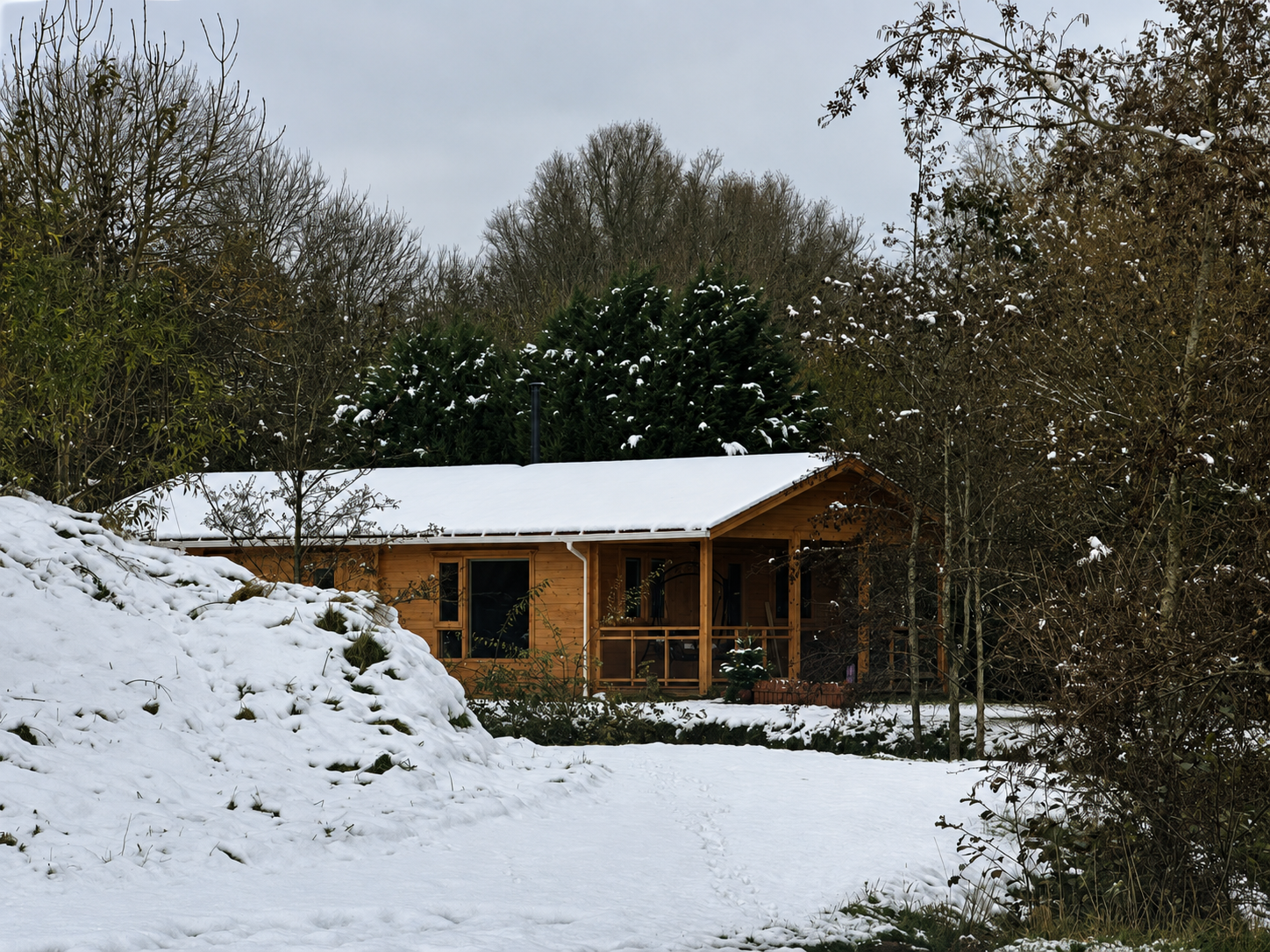 Vetiver Villa log cabin in its woodland setting